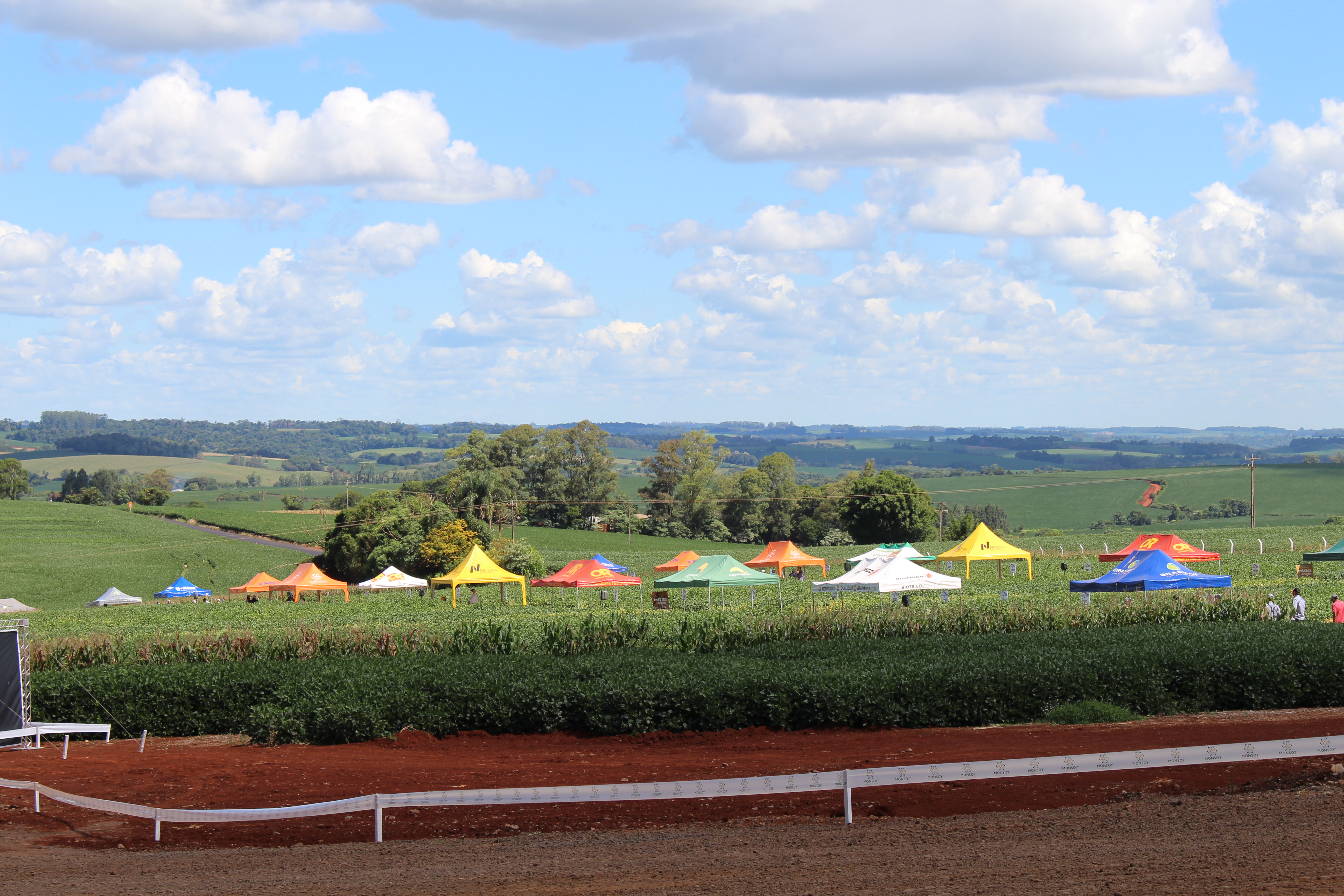 Foto do dia de Campo da Sementes Costa Beber