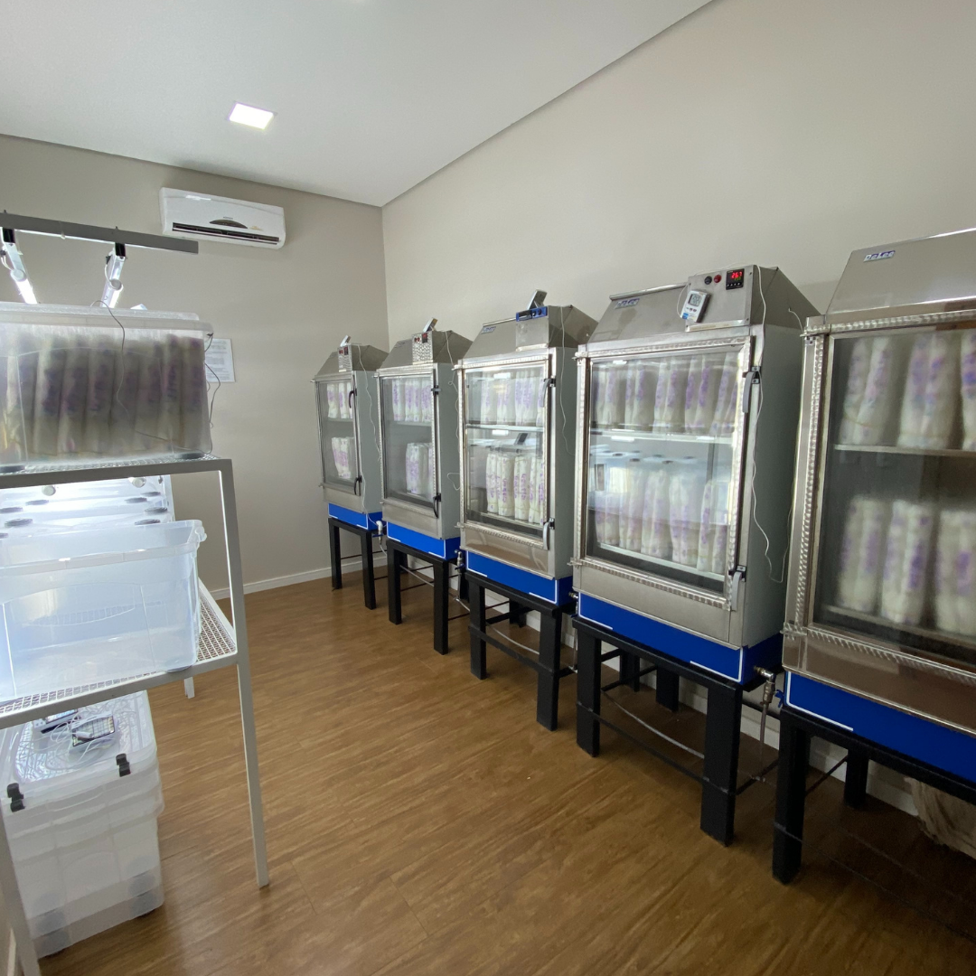Laboratorio Sementes Costa Beber